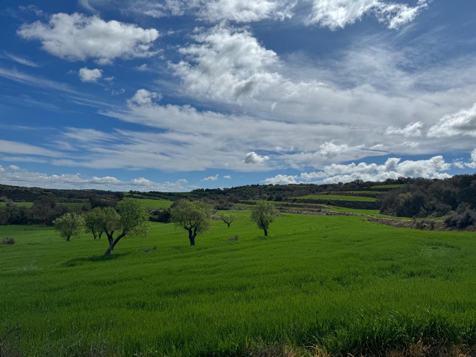 Masia De Queralt Luxury Casa Rural Spa Y Vistas Concabella Zewnętrze zdjęcie